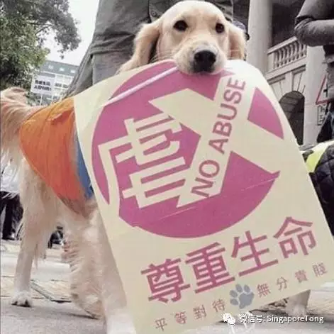 律无处不在别怪我没提醒你龙8头号玩家新加坡奇葩法(图4)