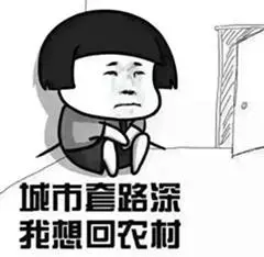 律无处不在别怪我没提醒你龙8头号玩家新加坡奇葩法(图5)