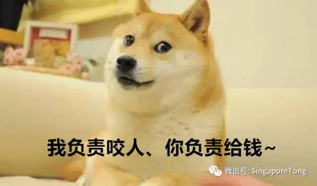 律无处不在别怪我没提醒你龙8头号玩家新加坡奇葩法(图19)
