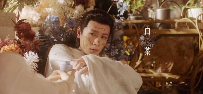 美男各有各帅的特点谁是你的菜？《落花时节又逢君》：剧中4大(图4)